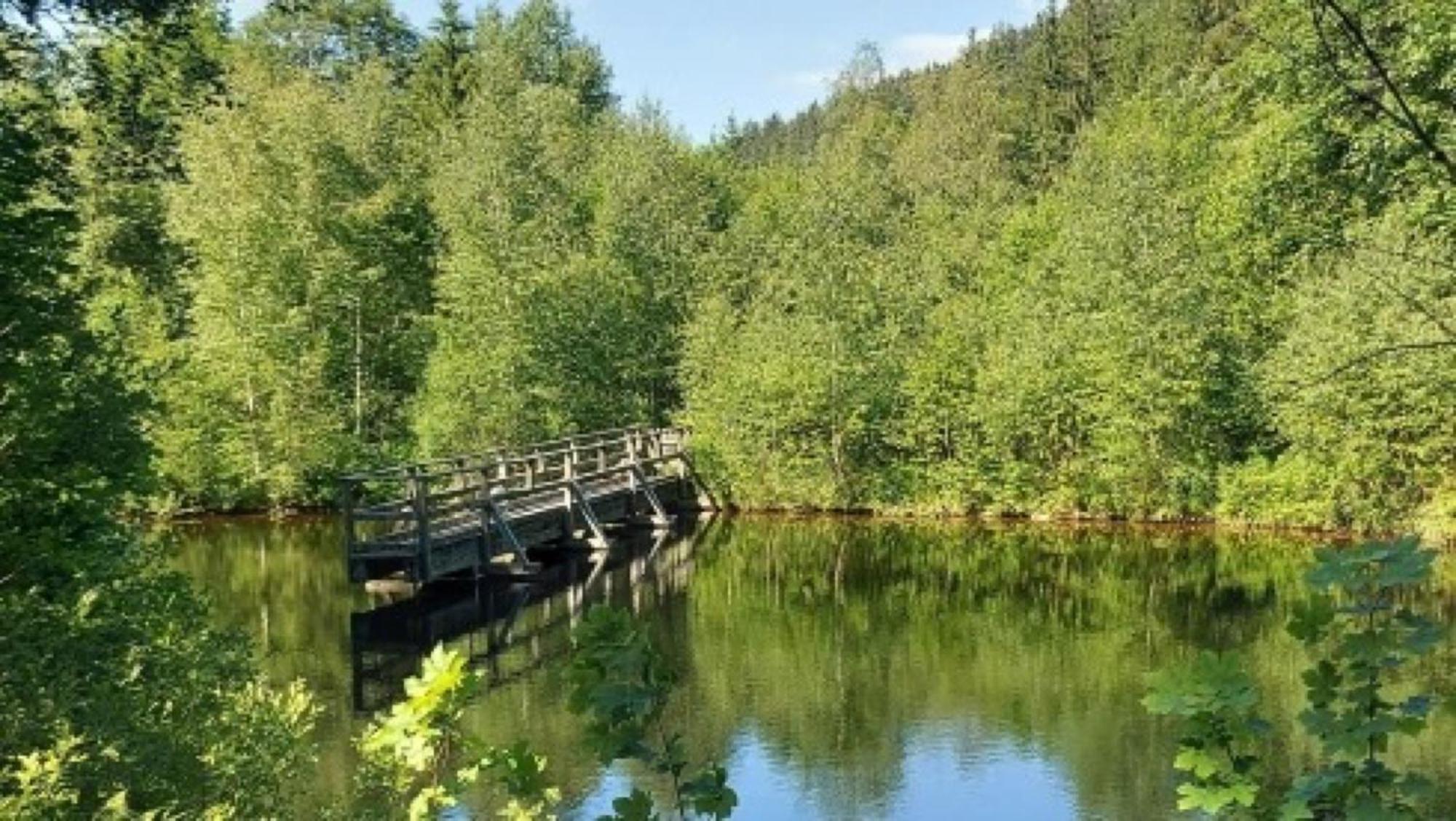 Grundhof Oberprechtal Exterior foto