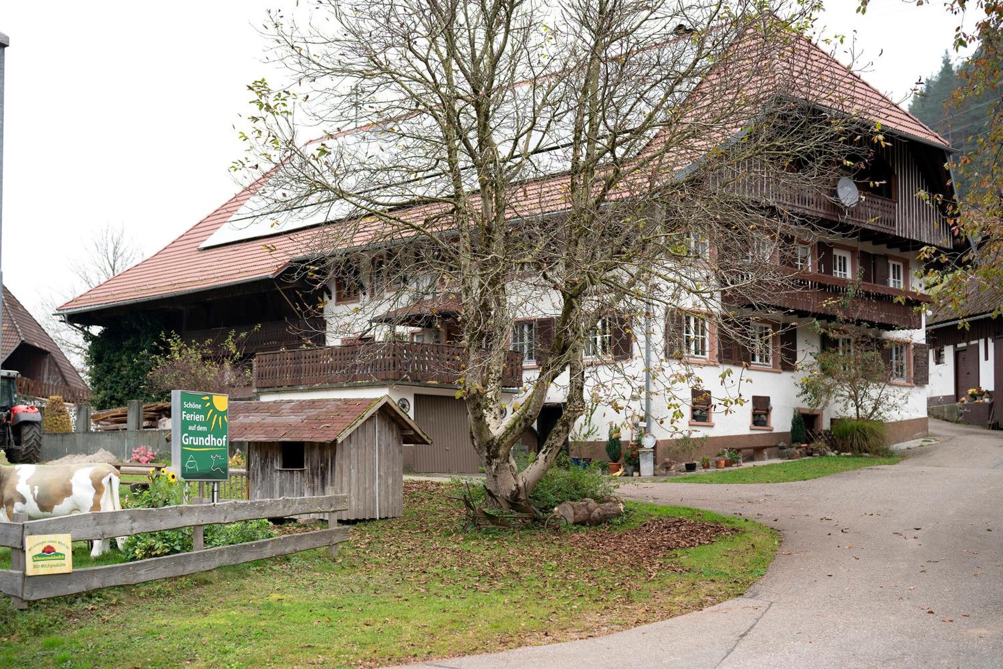 Grundhof Oberprechtal Exterior foto